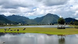 Danau Tarusan Kamang