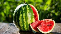 10 Manfaat Semangka untuk Kesehatan