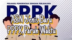 PPPK Paruh Waktu