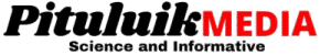 pituluik.com