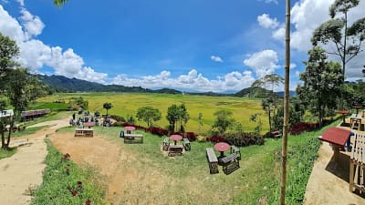 Cafe di Kamang Terpopuler 2026 dengan View Alam Asri