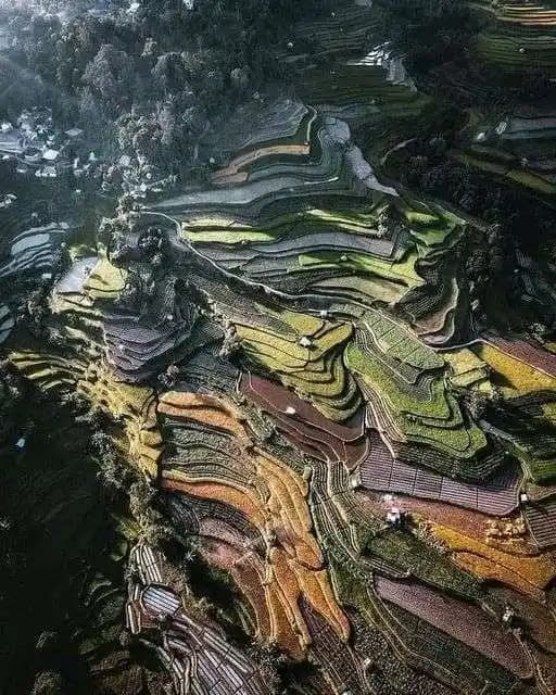 Nagari Pariangan, Desa Tradisional Paling Indah di Sumatera Barat